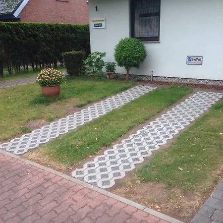 Boddenzander * Dandorf