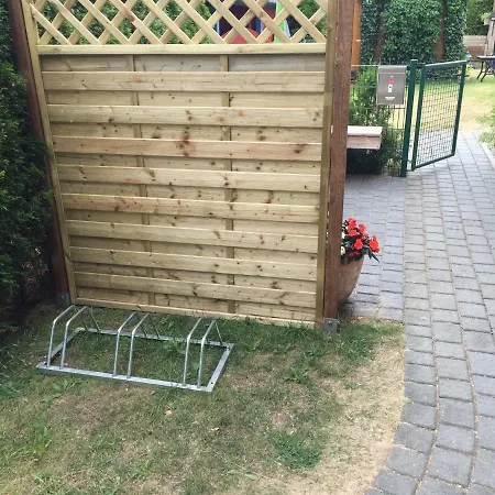 Boddenzander Dandorf