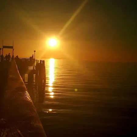 Boddenzander * Dändorf