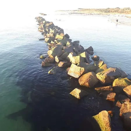 Boddenzander * Dändorf