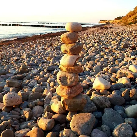 Boddenzander Daire Dändorf