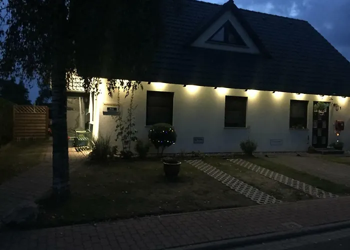 Boddenzander *